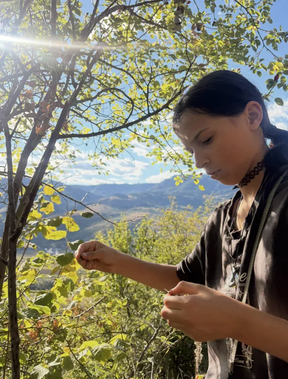 A girl picking wild berries from a bush on a sunny mountainside